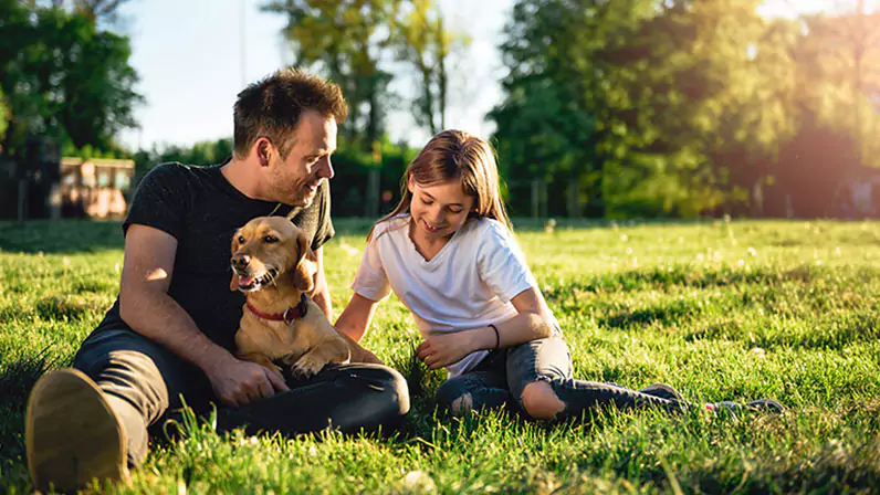 Family with a dog in a park.